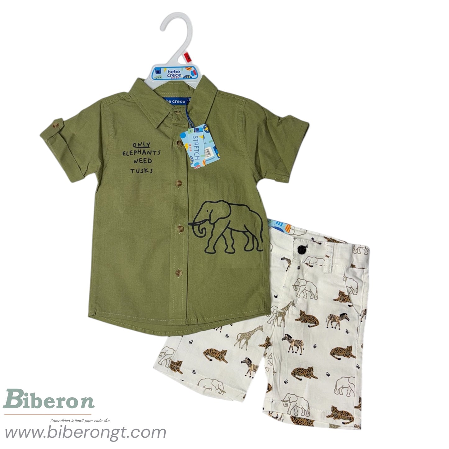 Conjunto de 2 pzs