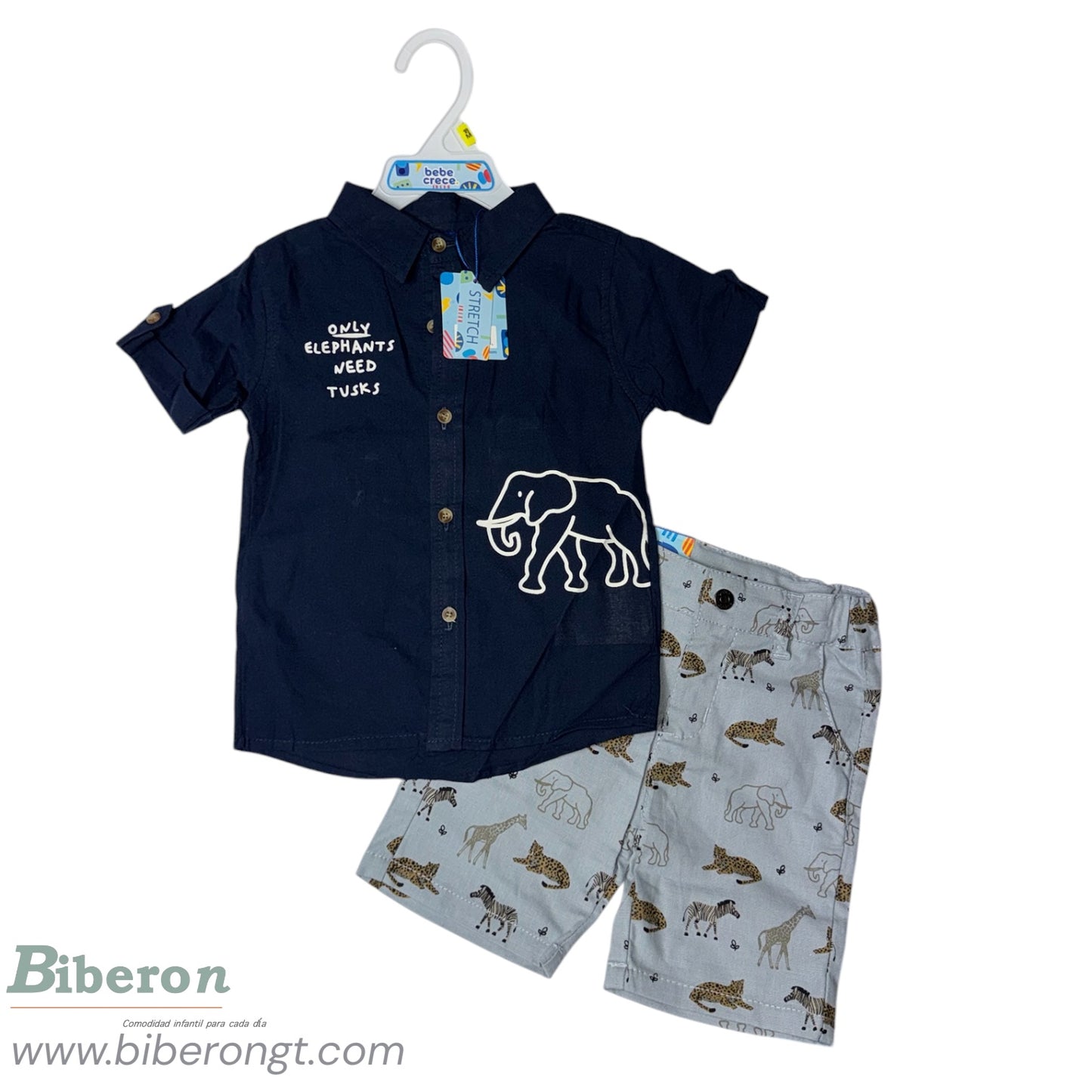 Conjunto de 2 pzs
