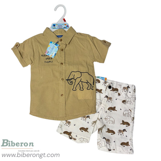 Conjunto de 2 pzs